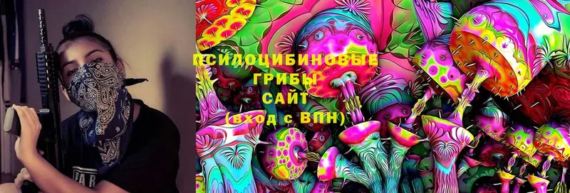 закладка  Зуевка  Галлюциногенные грибы Cubensis 